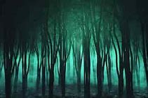 Image result for Gothic Tree Background