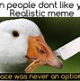 Image result for Goose Watching From the Roof Meme