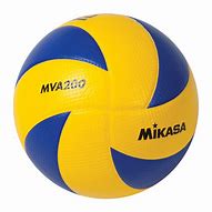 Image result for Mikasa MVA200 Volleyball
