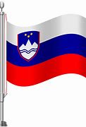 Image result for Small Slovenia Flag