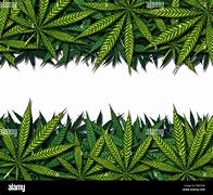 Image result for Marijuana