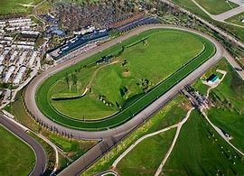 Image result for Arial View Horse Race