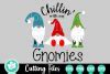 Image result for Chillin with My Gnomies SVG Free