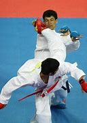Image result for deadliest form of martial arts