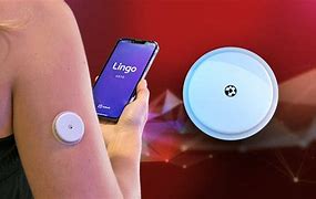 Image result for Lingo Device