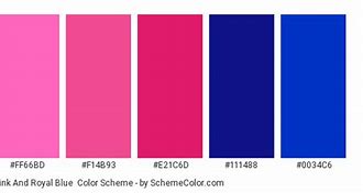 Image result for Hot Pink and Royal Blue