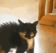 Image result for Funny Cat Cartoon Scared