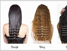 Image result for 100 Inch Long Hair