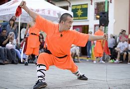 Image result for Kung Fu Fight