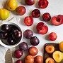 Image result for Plum Variety
