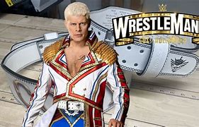 Image result for WWE Costume Belt