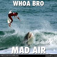 Image result for Misunderstood Shark Meme