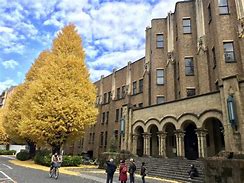 Image result for Tokyo International University