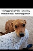 Image result for Funny Dog Laughing Meme