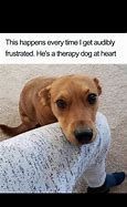 Image result for Hilarious Pet Memes