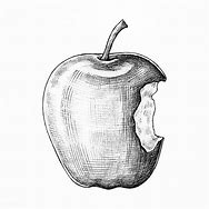 Image result for Half Eaten Apple Art