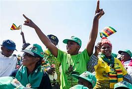 Image result for co_to_znaczy_zanu pf