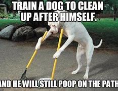 Image result for Dog Poop Everywhere Meme