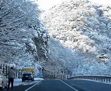 Image result for Hakone Japan Winter