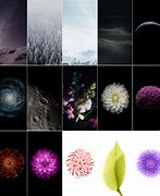 Image result for Apple iPhone 6 Plus Wallpaper