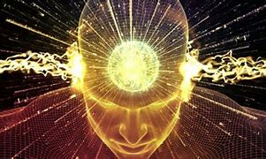 Image result for Universe Is a Brain