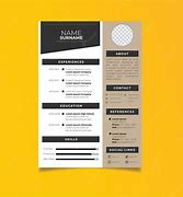Image result for Simple Professional Resume Template