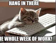 Image result for Hang in There Meme Work