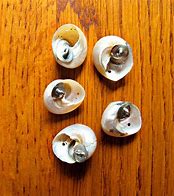 Image result for Antique Pewter Buttons