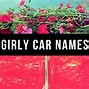 Image result for Girl Car Names