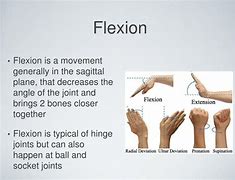 Image result for Flexion Definition