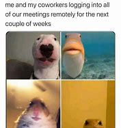 Image result for Cameras On for Meeting Meme