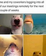 Image result for Ridiculous Meme Funny Old People