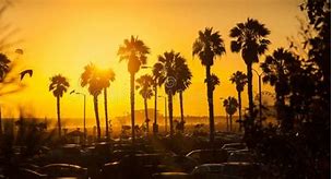 Image result for Los Angeles Panorama