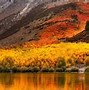 Image result for Mac OS High Sierra iPhone Wallpaper