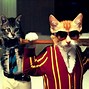 Image result for Cat Funny Wallpaper for Tablets