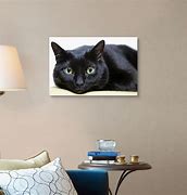 Image result for Framed Cat Wall Art