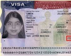 Image result for USA Visitor Visa