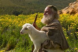 Image result for Biblical Shepherd and Sheep