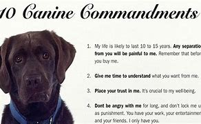 Image result for Pets Ten Commandments