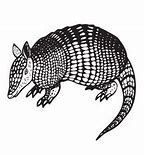 Image result for Armadillo Silhouette