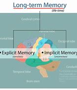 Image result for Long-Term Memory Chart