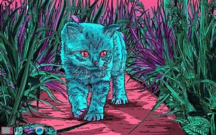 Image result for Trippy Cat Background