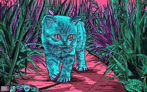 Image result for Trippy Cartoon Cat