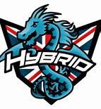 Image result for Hybrid eSports Logo