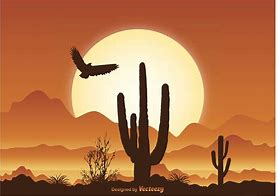 Image result for Arizona Desert Illustration