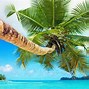 Image result for Exotic Vacation Spots