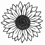 Image result for Wood Box Sunflower