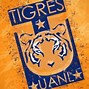 Image result for Tigres Oficial