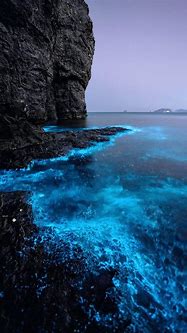Image result for aesthetics ocean blue