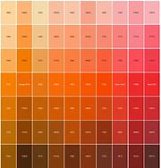 Image result for Cyan Orange Color
